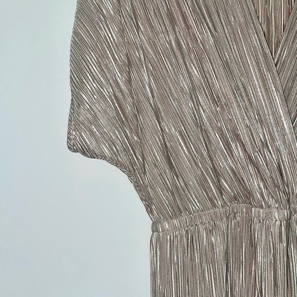 Porridge Pleated Metallic Jumpsuit - Picture 4 of 6